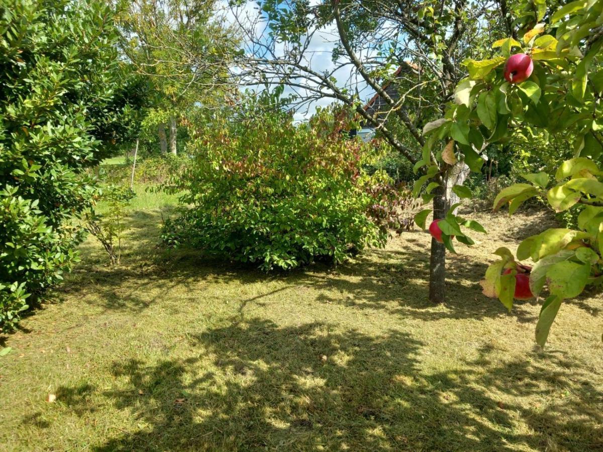 Villa Le Jardin Secret Saint-Omer  Exterior foto